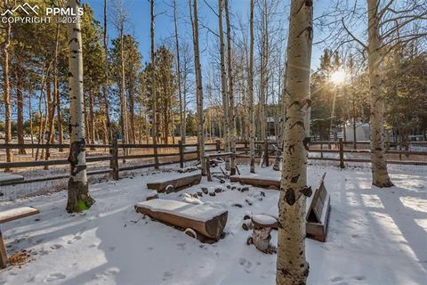 Tiny photo for 747 Pinon Ridge Drive, Woodland Park, CO 80863 (MLS # 4812165)