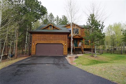 Photo of 747 Pinon Ridge Drive, Woodland Park, CO 80863 (MLS # 4812165)