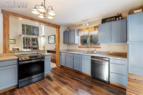 Tiny photo for 747 Pinon Ridge Drive, Woodland Park, CO 80863 (MLS # 4812165)