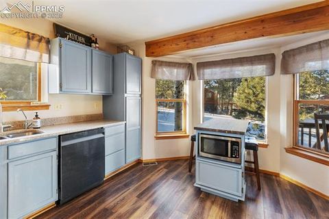 Tiny photo for 747 Pinon Ridge Drive, Woodland Park, CO 80863 (MLS # 4812165)