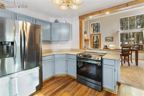 Tiny photo for 747 Pinon Ridge Drive, Woodland Park, CO 80863 (MLS # 4812165)