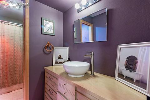 Tiny photo for 747 Pinon Ridge Drive, Woodland Park, CO 80863 (MLS # 4812165)