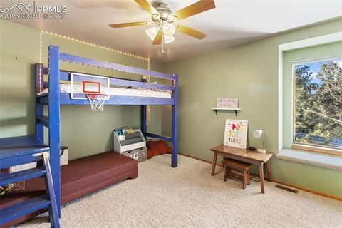 Tiny photo for 747 Pinon Ridge Drive, Woodland Park, CO 80863 (MLS # 4812165)