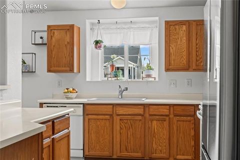 Tiny photo for 3976 Riviera Grove #203, Colorado Springs, CO 80922 (MLS # 2865670)