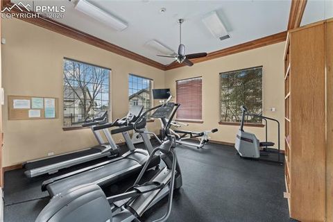 Tiny photo for 3976 Riviera Grove #203, Colorado Springs, CO 80922 (MLS # 2865670)