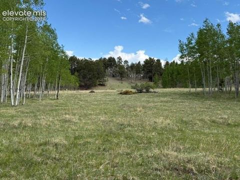 Photo of 417 Aspen Way Drive, Florissant, CO 80816 (MLS # 9604478)