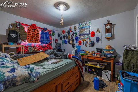 Tiny photo for 203 N Hayden Street, Cripple Creek, CO 80813 (MLS # 4740657)