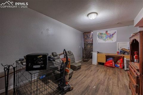 Tiny photo for 203 N Hayden Street, Cripple Creek, CO 80813 (MLS # 4740657)