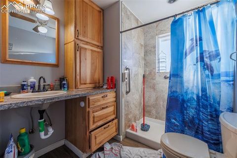 Tiny photo for 203 N Hayden Street, Cripple Creek, CO 80813 (MLS # 4740657)