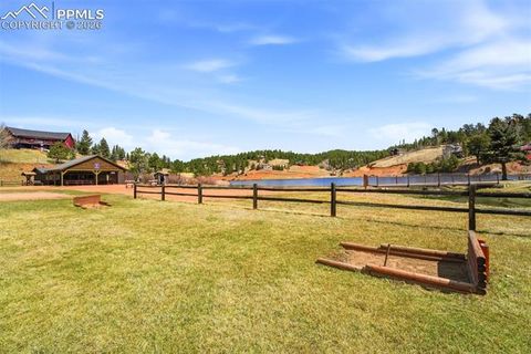 Tiny photo for 164 Aspen Circle, Divide, CO 80814 (MLS # 7897741)