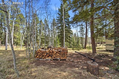 Tiny photo for 164 Aspen Circle, Divide, CO 80814 (MLS # 7897741)
