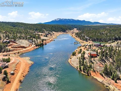 Tiny photo for 164 Aspen Circle, Divide, CO 80814 (MLS # 7897741)