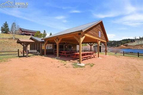 Tiny photo for 164 Aspen Circle, Divide, CO 80814 (MLS # 7897741)