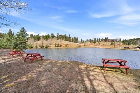 Tiny photo for 164 Aspen Circle, Divide, CO 80814 (MLS # 7897741)