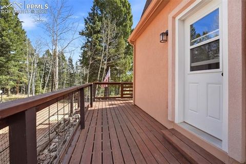 Tiny photo for 164 Aspen Circle, Divide, CO 80814 (MLS # 7897741)