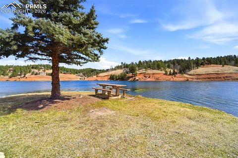 Tiny photo for 164 Aspen Circle, Divide, CO 80814 (MLS # 7897741)