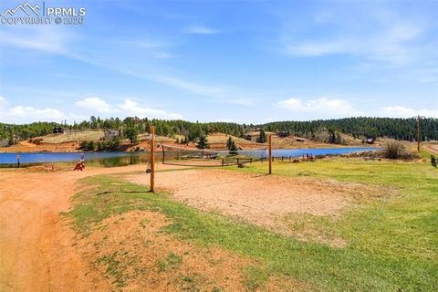 Tiny photo for 164 Aspen Circle, Divide, CO 80814 (MLS # 7897741)