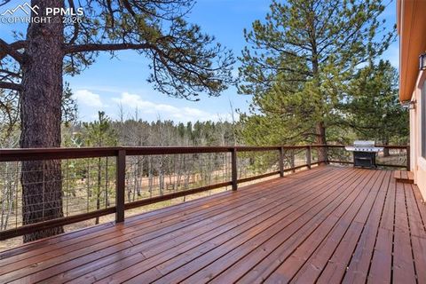 Tiny photo for 164 Aspen Circle, Divide, CO 80814 (MLS # 7897741)