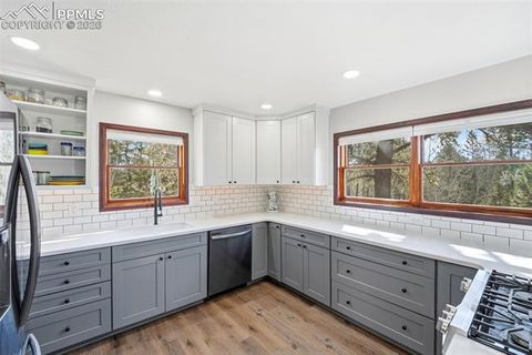 Tiny photo for 164 Aspen Circle, Divide, CO 80814 (MLS # 7897741)