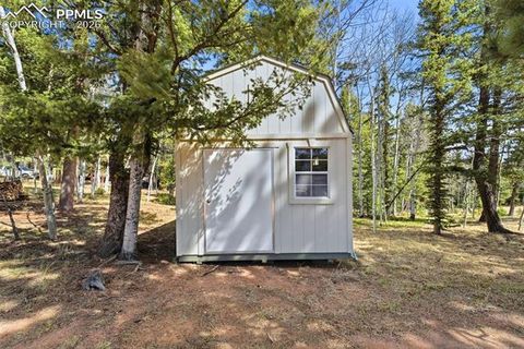 Tiny photo for 164 Aspen Circle, Divide, CO 80814 (MLS # 7897741)