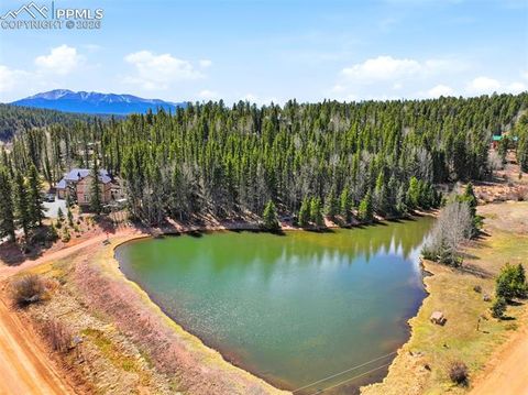 Tiny photo for 164 Aspen Circle, Divide, CO 80814 (MLS # 7897741)