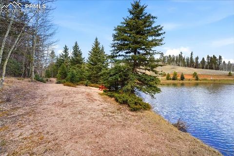 Tiny photo for 164 Aspen Circle, Divide, CO 80814 (MLS # 7897741)