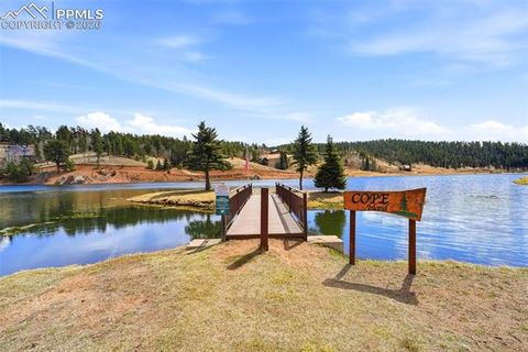 Tiny photo for 164 Aspen Circle, Divide, CO 80814 (MLS # 7897741)