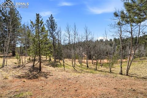 Tiny photo for 164 Aspen Circle, Divide, CO 80814 (MLS # 7897741)