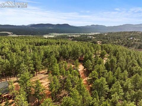 Tiny photo for 1110 Pikes Peak Drive, Florissant, CO 80816 (MLS # 1233078)