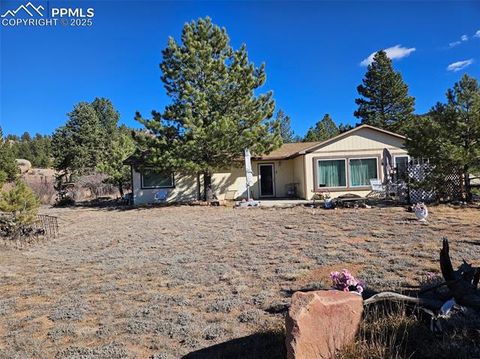 Photo of 20 Osage Avenue, Lake George, CO 80827 (MLS # 6319089)