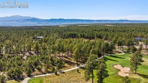 Photo of 14981 Quartz Creek Drive, Colorado Springs, CO 80908 (MLS # 5122924)