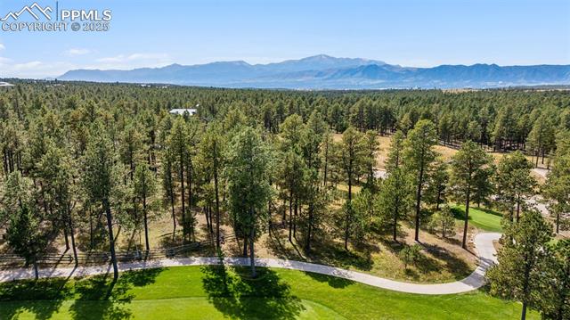 14981 Quartz Creek Drive
