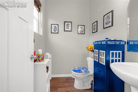 Tiny photo for 12833 Morning Breeze Way, Peyton, CO 80831 (MLS # 7259766)