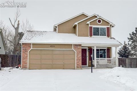 Photo of 4825 Halter Court, Colorado Springs, CO 80922 (MLS # 9821260)