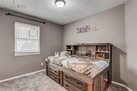 Tiny photo for 4825 Halter Court, Colorado Springs, CO 80922 (MLS # 9821260)