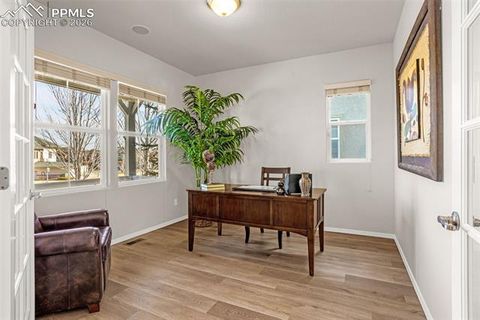 Tiny photo for 1381 Cresson Mine Drive, Colorado Springs, CO 80905 (MLS # 1370121)