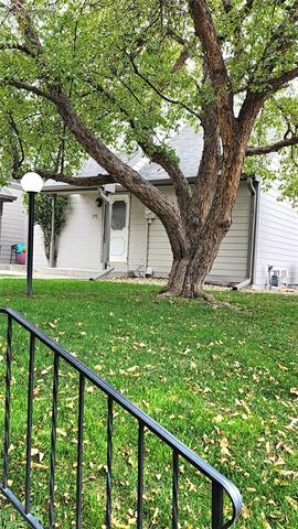 290 Cobblestone Drive