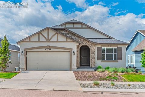 Photo of 4261 Horse Gulch Loop, Colorado Springs, CO 80924 (MLS # 6798811)