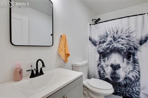 Tiny photo for 1901 Rampart Range Road, Woodland Park, CO 80863 (MLS # 2357556)