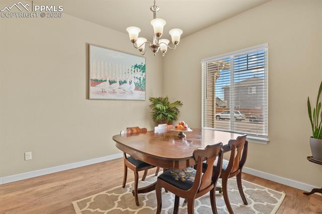 6776 Red Cardinal Loop