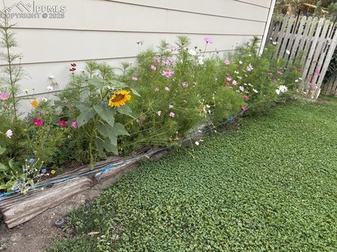 Tiny photo for 4127 Palmer Park Boulevard, Colorado Springs, CO 80909 (MLS # 3625249)