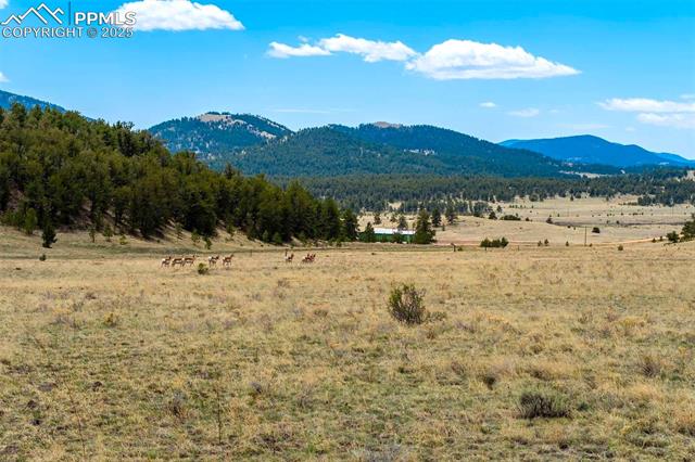 129 Eagle Nest Trail
