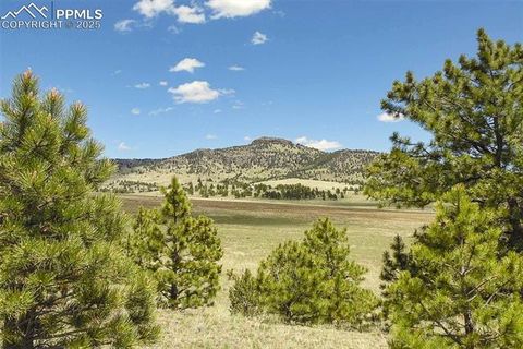 129 Eagle Nest Trail Guffey CO 80820