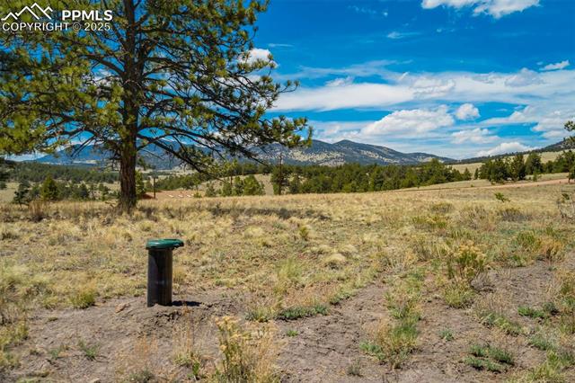 129 Eagle Nest Trail