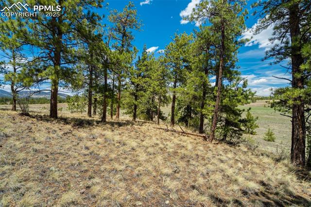129 Eagle Nest Trail