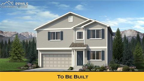 8189 Sophia Lane Falcon CO 80831