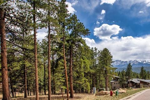 Photo of 271 Thunder Ridge Drive, Woodland Park, CO 80863 (MLS # 7861672) Photo of 271 Thunder Ridge Drive, Woodland Park, CO 80863 (MLS # 7861672)