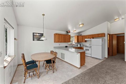 Tiny photo for 485 Donzi Trail, Florissant, CO 80816 (MLS # 5643264)
