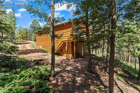 Tiny photo for 485 Donzi Trail, Florissant, CO 80816 (MLS # 5643264)
