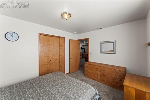 Tiny photo for 485 Donzi Trail, Florissant, CO 80816 (MLS # 5643264)